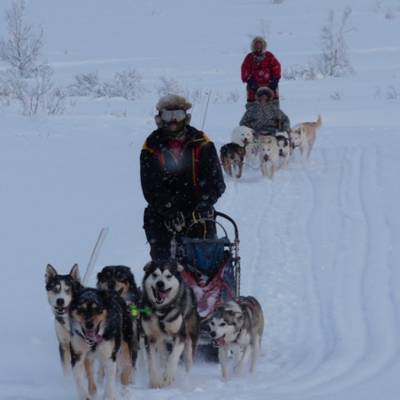 Husky Sledding in Norway on cross country winter activity holiday (1 of 1).jpg